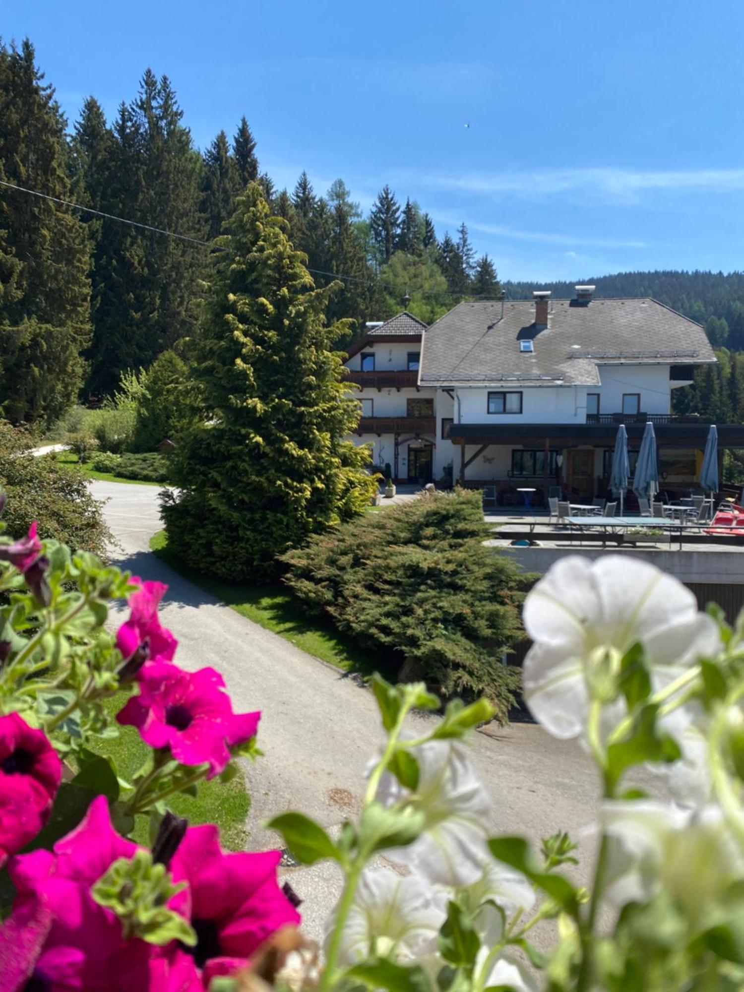 Forellenwirt Bacher Kirchberg  Εξωτερικό φωτογραφία
